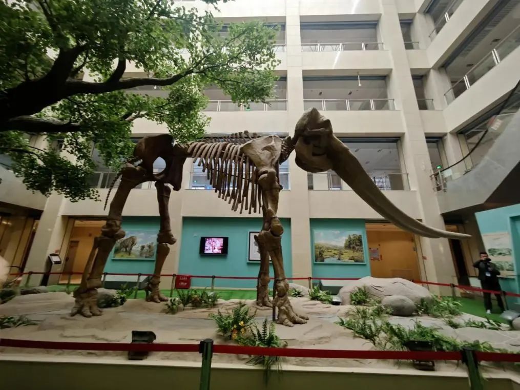 图源/庆阳市文体广电和旅游局