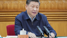 习近平总书记关于中医药的重要论述摘编