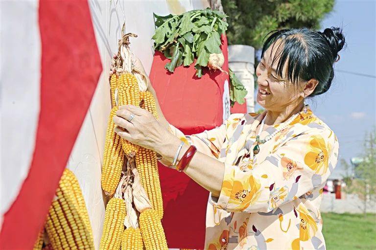 ▲西峰区显胜乡显胜村村民用玉米装饰庭院。 庆阳融媒记者  盘小美  摄