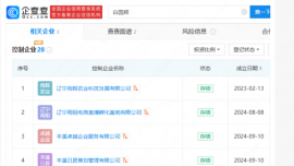 起底“東北雨姐”的“彪悍”人生：夫妻實(shí)控約30家企業(yè)