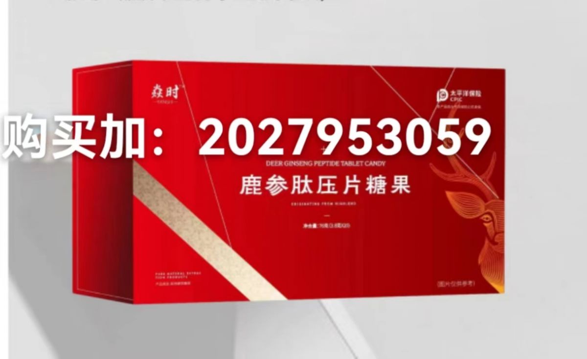微信图片_20240929012816