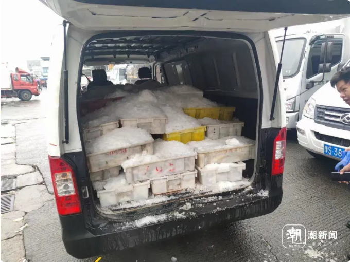刚到货就被拉走的东海冰鲜 记者 施雯 摄