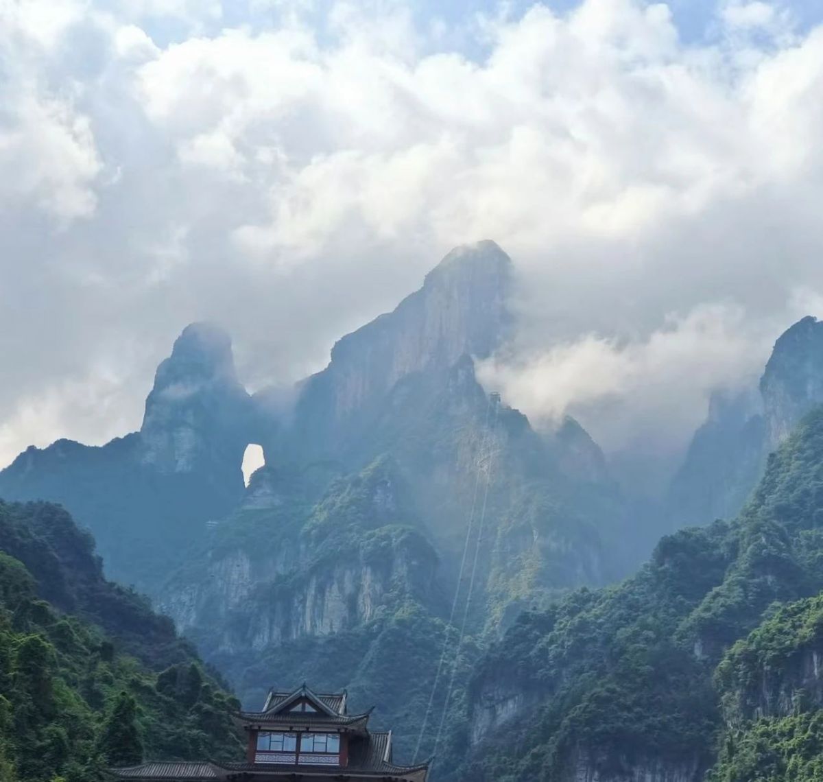 《高山巍影刺苍穹》作者：吴金凌