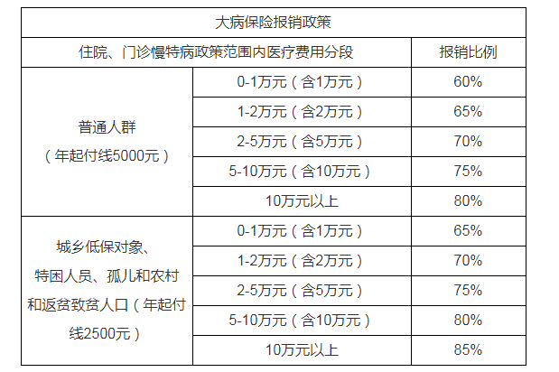 大病保险报销政策及起付线标准