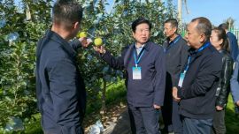 梁世剛開展重點督辦代表建議工作