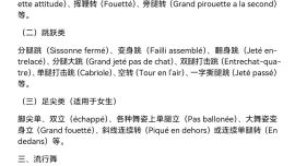 2025年甘肅省普通高等學(xué)校招生舞蹈學(xué)類專業(yè)統(tǒng)一考試說(shuō)明
