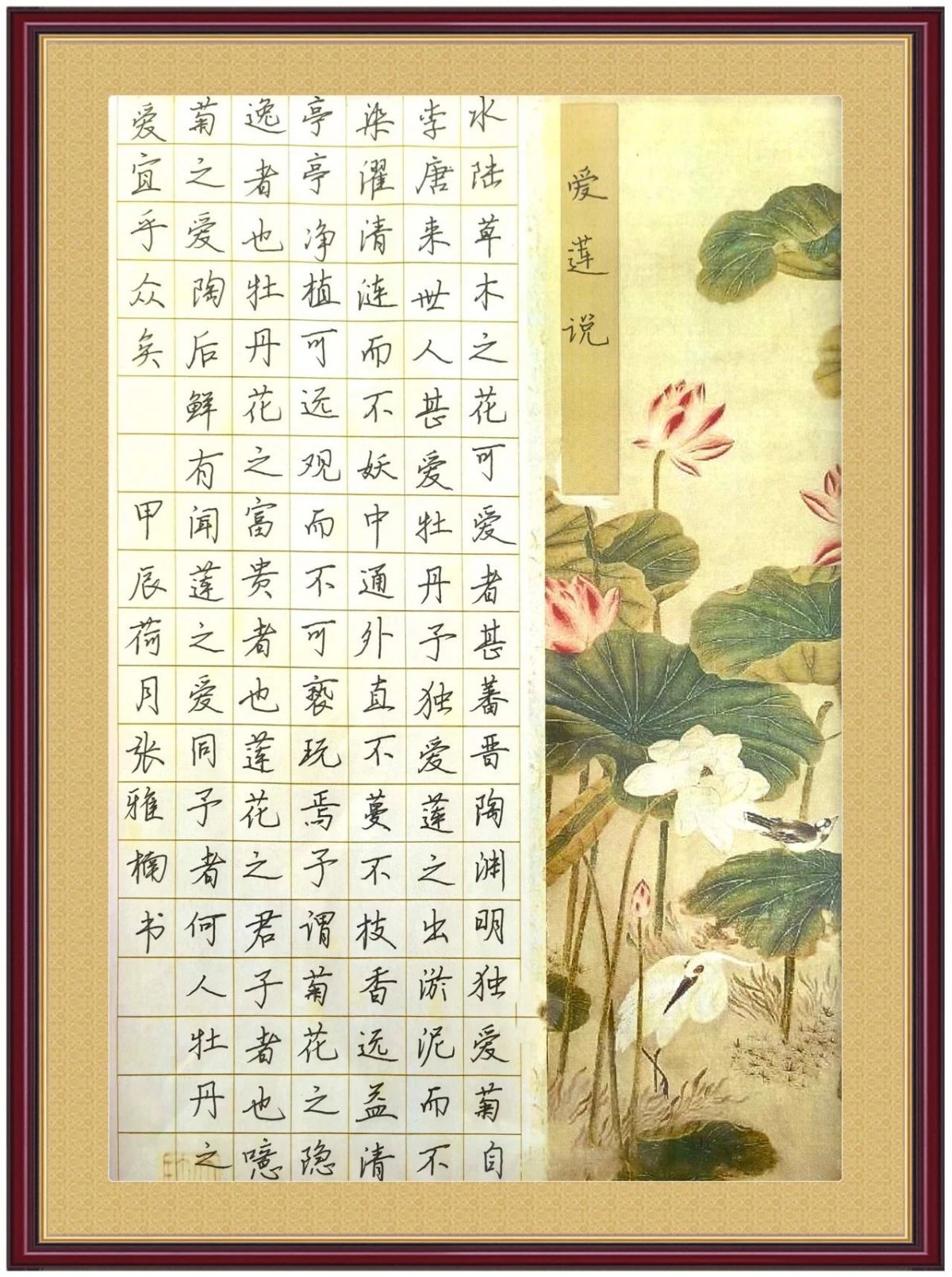 ▲ 张雅楠（宁县段） 《爱莲说》 硬笔书法