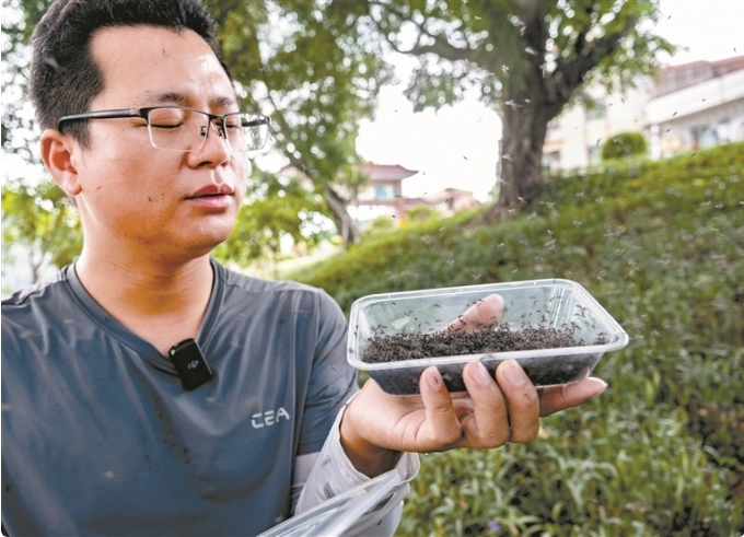 三五十万只蚊子一拥而出场面震撼