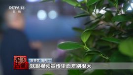 每周質(zhì)量報(bào)告丨“買家秀”可能是“騙人秀” 揭秘網(wǎng)絡(luò)水軍的“黑色生意經(jīng)”