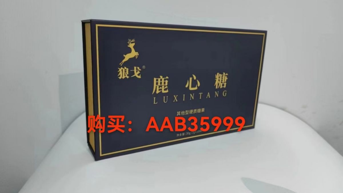 微信图片_20241029220119