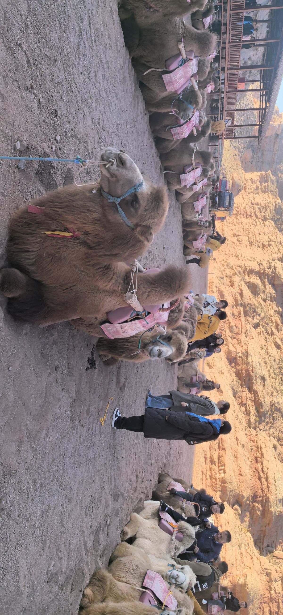 张掖平山湖大峡谷 图/罗显斌