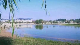 慶陽市養(yǎng)老綜合服務(wù)中心關(guān)于誠邀老年朋友入住享老的公告