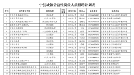 寧縣城鎮(zhèn)公益性崗位工作人員招聘公告