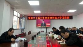 西峰工業(yè)園區(qū)管委會舉辦科級及以下干部黨的二十屆三中全會精神線上培訓(xùn)班