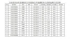 合水縣2024年縣級(jí)醫(yī)療衛(wèi)生機(jī)構(gòu)公開選調(diào)醫(yī)務(wù)人員擬選調(diào)人員公示