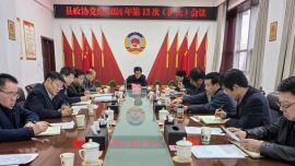 镇原县政协召开党组2024年第13次（扩大）会议