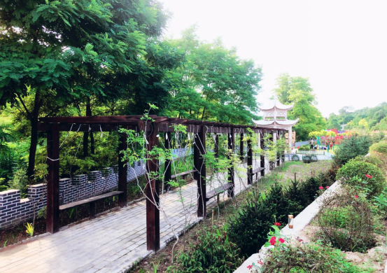 佛堂田园综合体