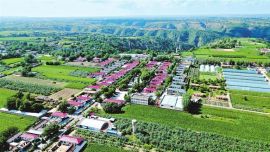 產(chǎn)業(yè)鏈升級(jí) “家鄉(xiāng)味”出圈 ——慶陽(yáng)市推動(dòng)農(nóng)文旅深度融合發(fā)展見(jiàn)聞