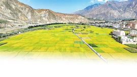 錨定現(xiàn)代化 改革再深化 ——2024年隴南市全面深化改革成就回眸