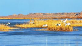 用好管好水資源 繪就生態(tài)新畫卷 ——嘉峪關市推進美麗河湖建設工作觀察