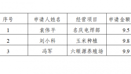 關(guān)于市本級(jí)2025年第一批擬發(fā)放創(chuàng)業(yè)擔(dān)保貸款的公示