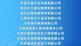 2024慶陽民營企業(yè)20強(qiáng)榜單揭曉