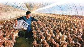 鉚足干勁走前列 真抓實干促發(fā)展 ——酒泉市深化“三抓三促”行動不斷取得新成效