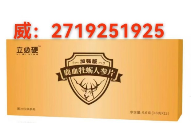 微信图片_20250307230341