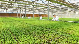 增速6.6%！甘肅農(nóng)業(yè)發(fā)展蹄疾步穩(wěn) ——透視一季度我省“三農(nóng)”工作提質(zhì)增效