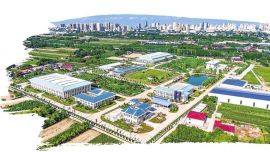 黃河水潤董志塬 水利史上鑄豐碑 ——陜甘寧鹽環(huán)定揚黃甘肅專用工程及配套工程建設紀實