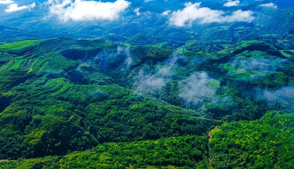 子午岭腹部的调令关森林公园，是正宁县最具特色的自然生态风景区，2007年9月被评为国家AA级旅游景区。景区层峦叠翠、空气新鲜、含氧量高，无污染，尘埃少，空气负离子含量高，有“陇上林海、天然氧吧”之美誉，有直道林荫、调令松涛、黄帝遗冢、古关日出等十大景点。