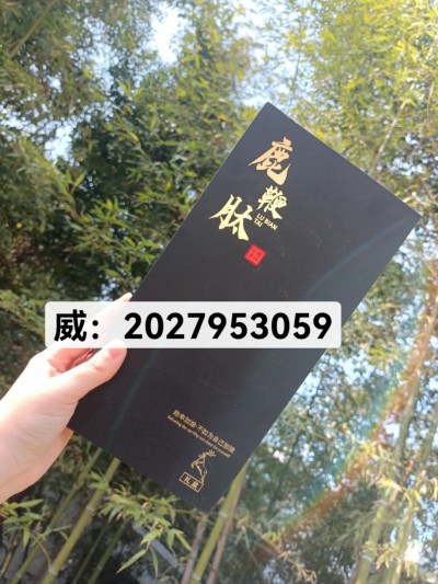 微信图片_20250506004815