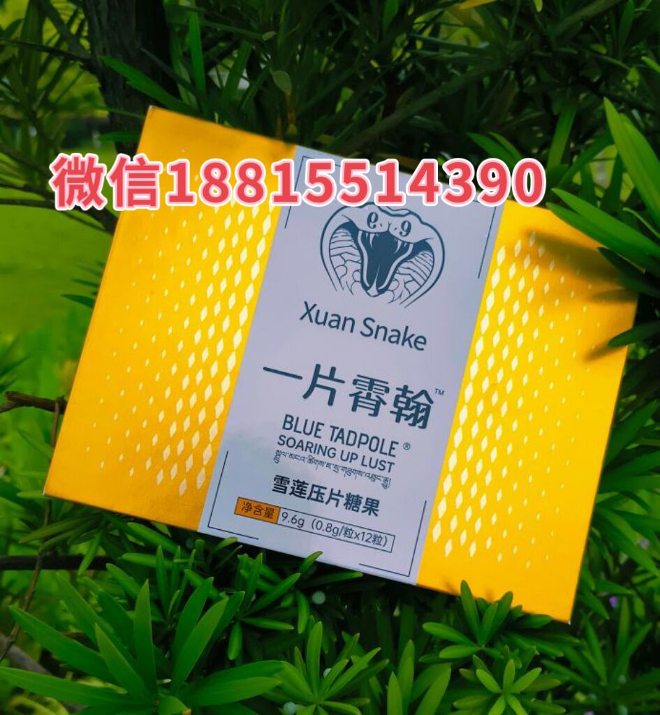 一片霄翰2