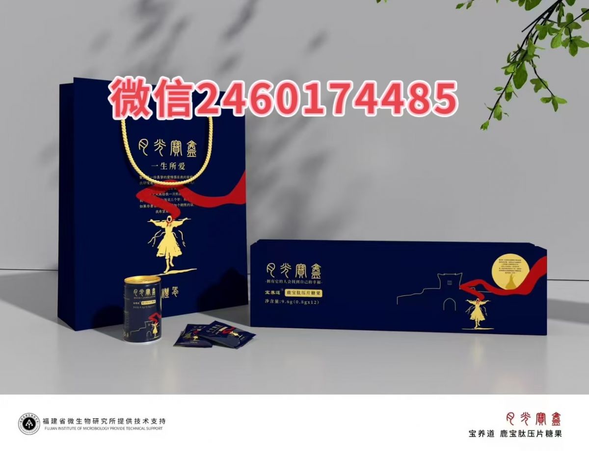 月光宝盒2