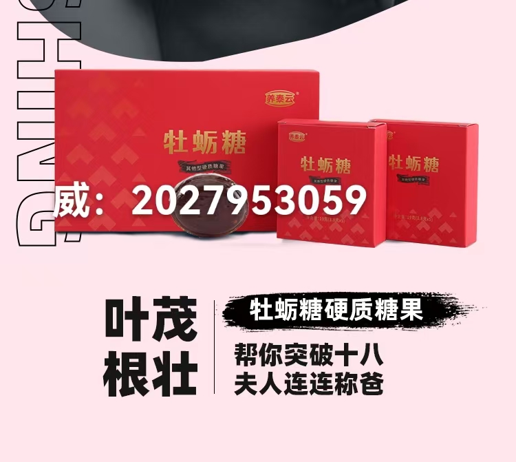 微信图片_20250208231018