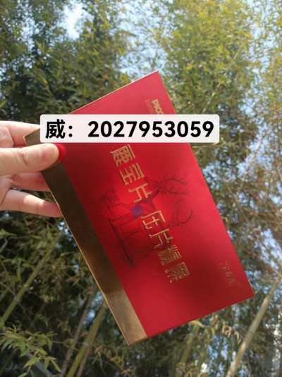 微信图片_20250506004806