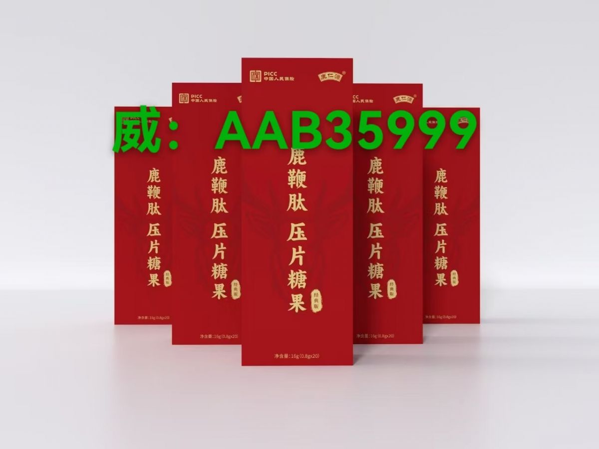 微信图片_20241114225909
