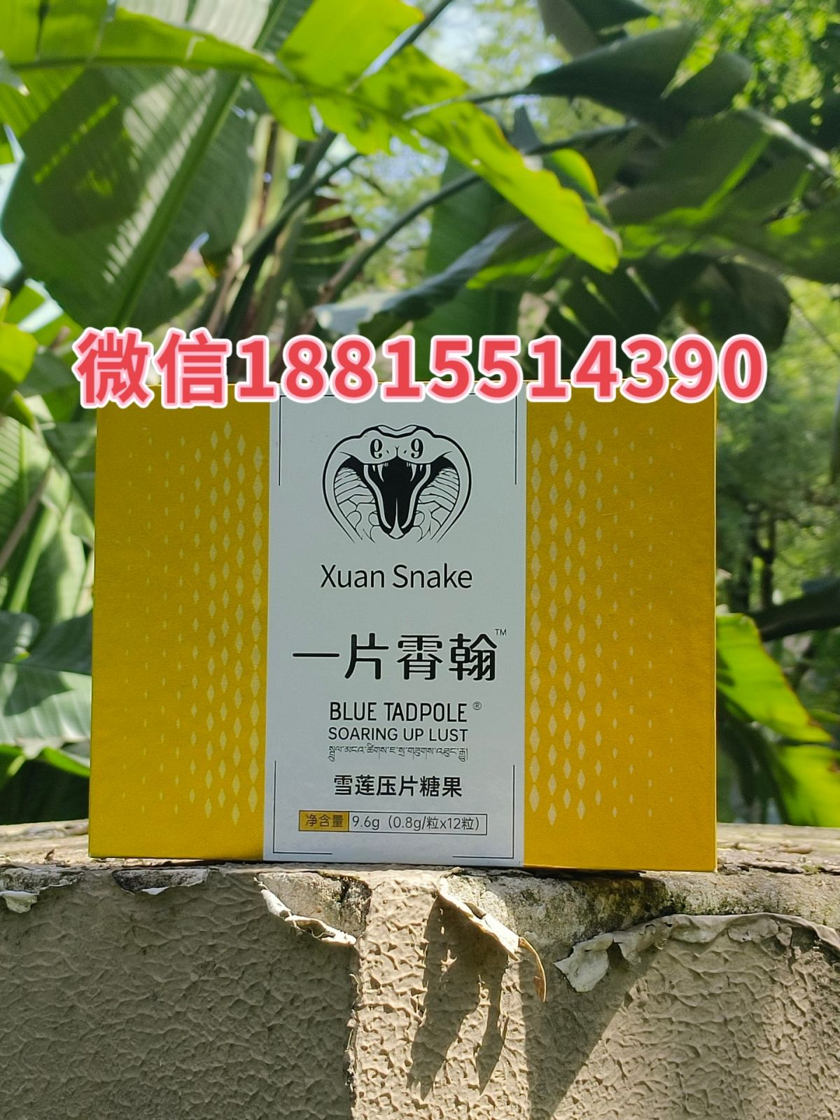 一片霄翰3