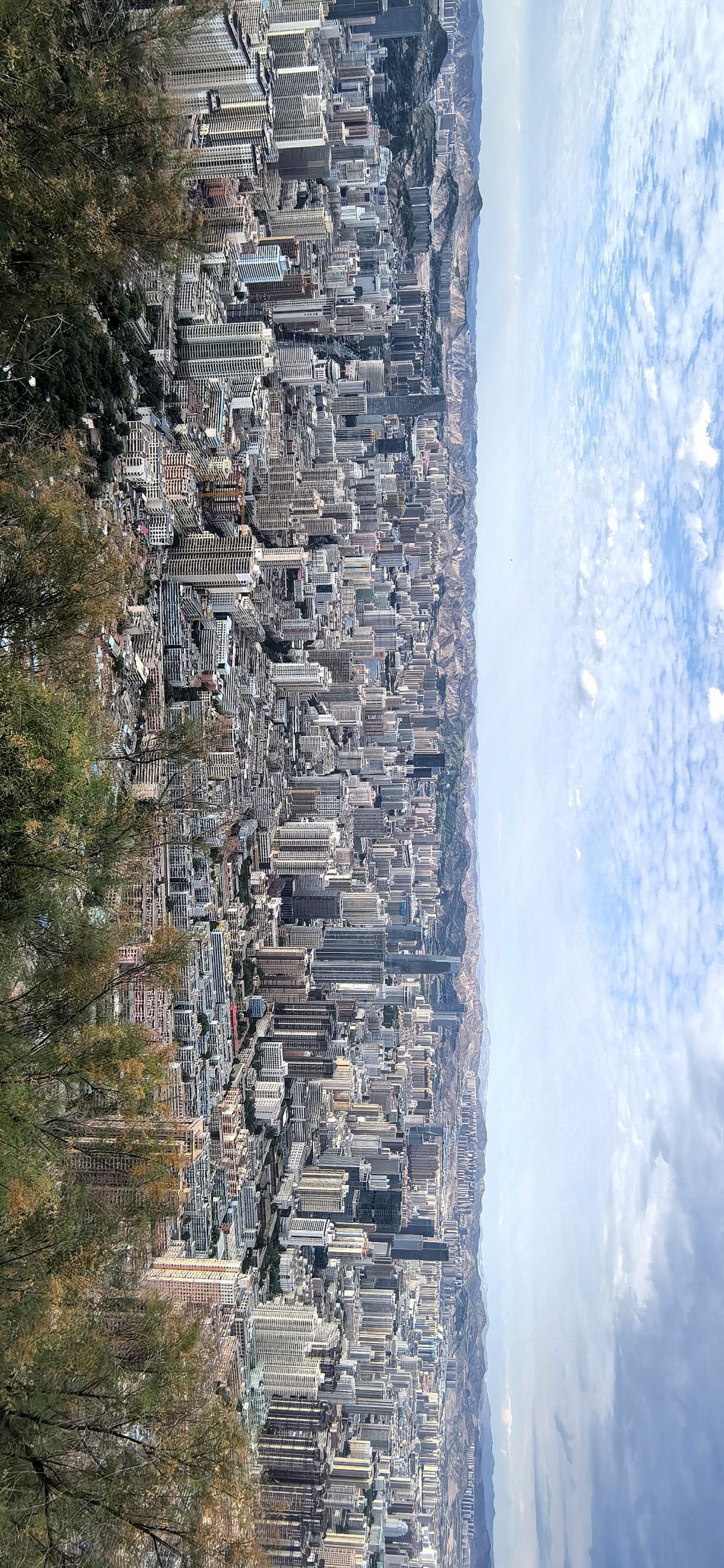 图/罗显斌