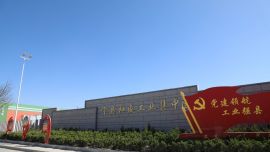 党旗飘扬千帆竞 强基固本万象新 ——宁县基层党建工作综述