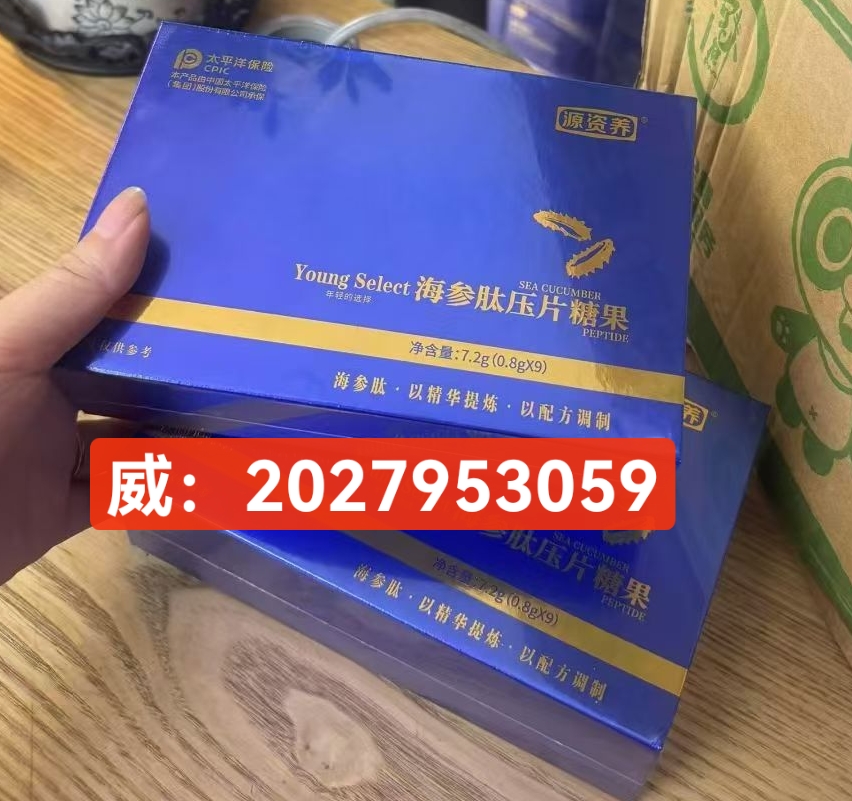 微信图片_20250711222926