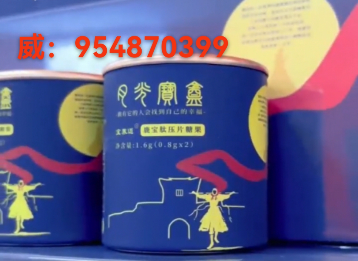 微信图片_20250713205217