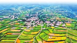 高寒山村的幸福蝶變 ——省政協(xié)助力榆中縣河灣村生態(tài)宜居和美鄉(xiāng)村建設(shè)綜述