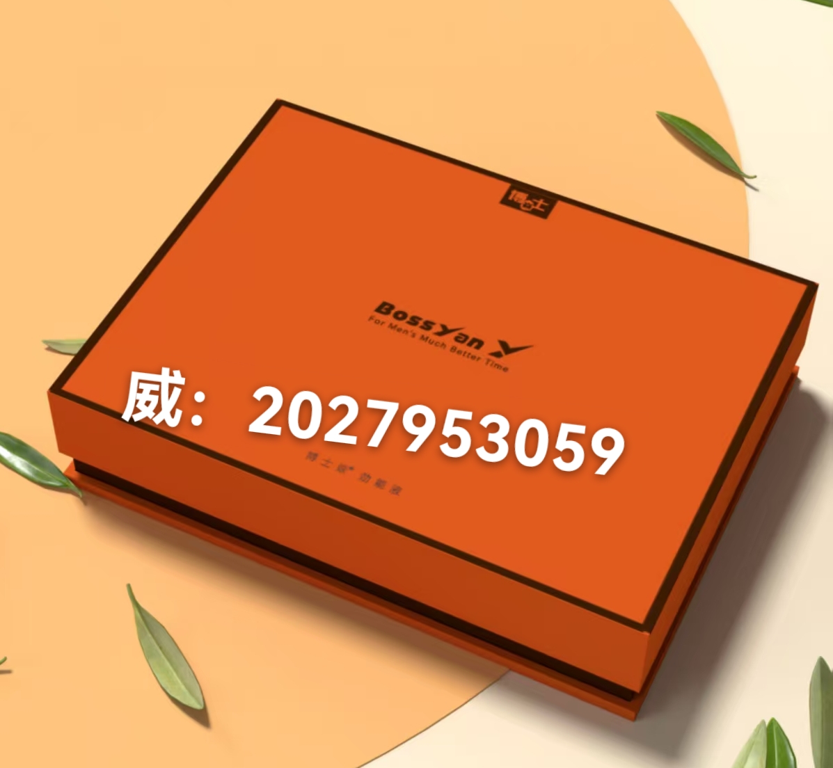 微信图片_20250722192451