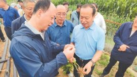 科技賦能 土地“生金” ——河西走廊新型多樣化種植技術推動農業(yè)綠色轉型