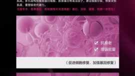 【2025-2026】：久龄之谜全国总代理艾米老师招商电话是多少,是合法正规的吗【高品】