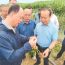 科技赋能 土地“生金” ——河西走廊新型多样化种植技术推动农业绿色转型