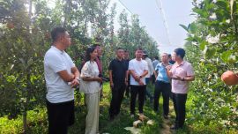 山东威海考察团来宁县调研苹果产业