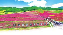 奋力谱写生态文明建设新华章 ——绿水青山就是金山银山理念的“武威实践”