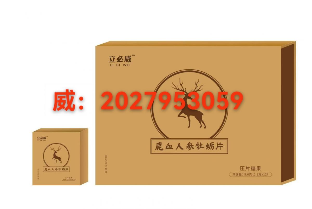 微信图片_20250828145940
